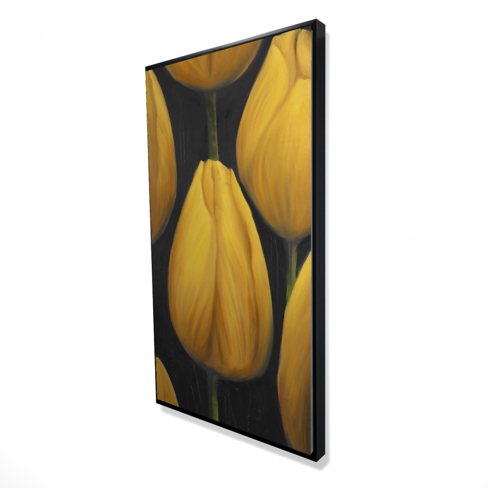 2081-4824-FL124 24 x 48 in. Six Daffodils Flowers Black Botanical Framed Canvas Decor