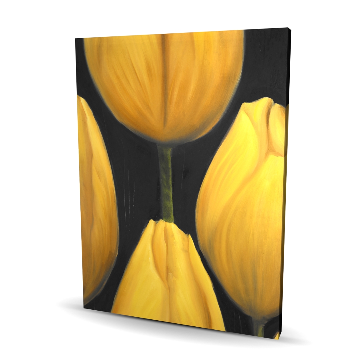 C1RC3648RZWCFP 36 x 48 in. Six Daffodils Flowers Canvas - Contemporary Home Decor Art