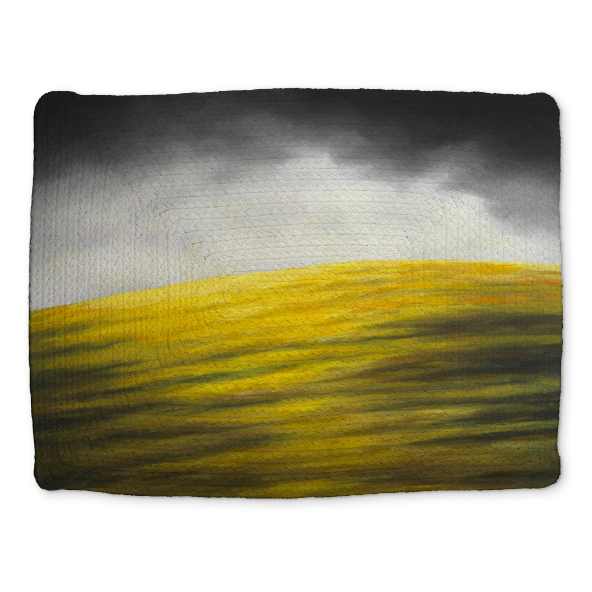 Picture of Begin Home Decor CBPM1418VZD5WZ 14 x 18 in. Yellow Hill Braided Polyester Placemat - Modern Mountain Decor