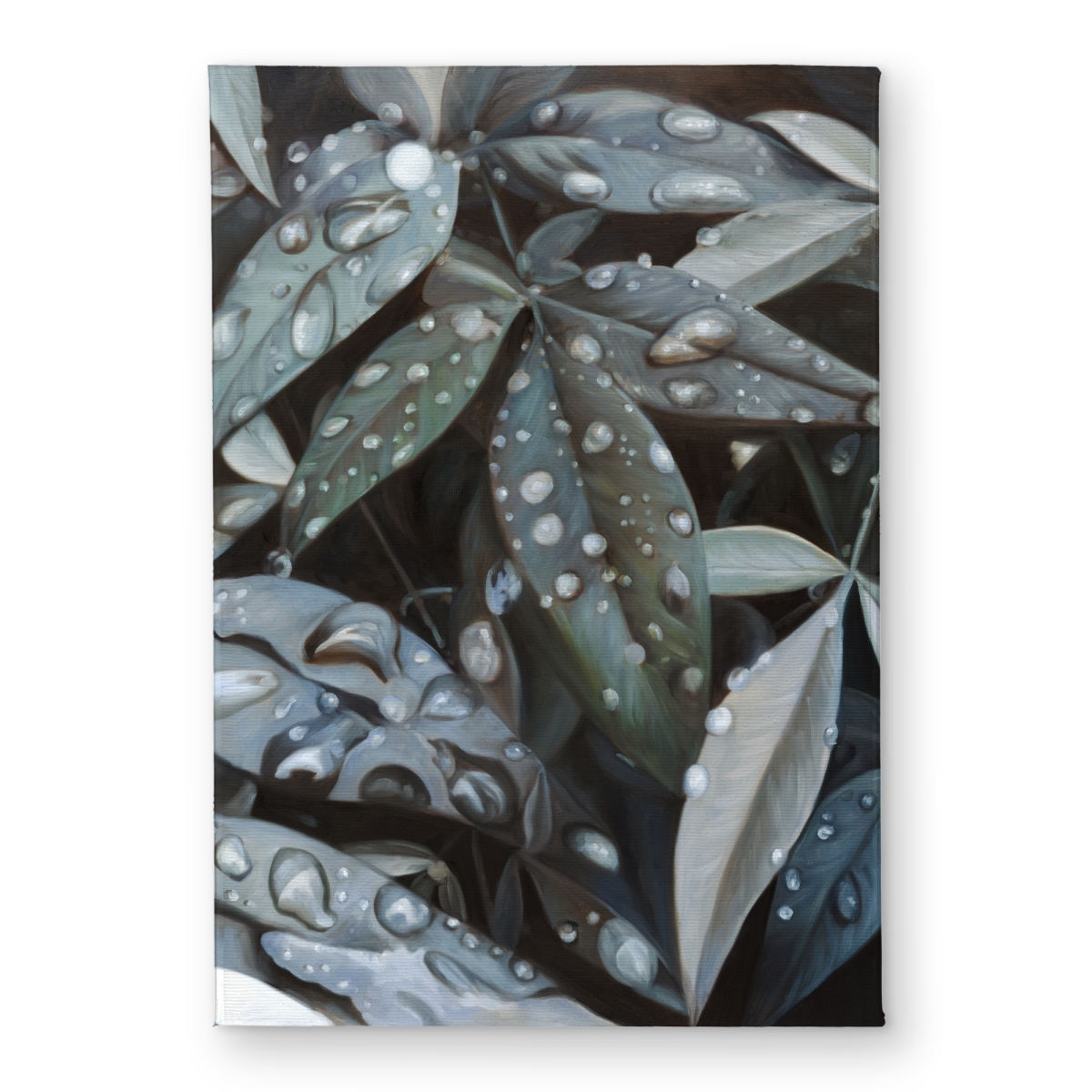 CODM1724BB2MMN 17 x 24 in. Leaves After Rain - Hyperrealist Botanical Door Mat - Home Decor
