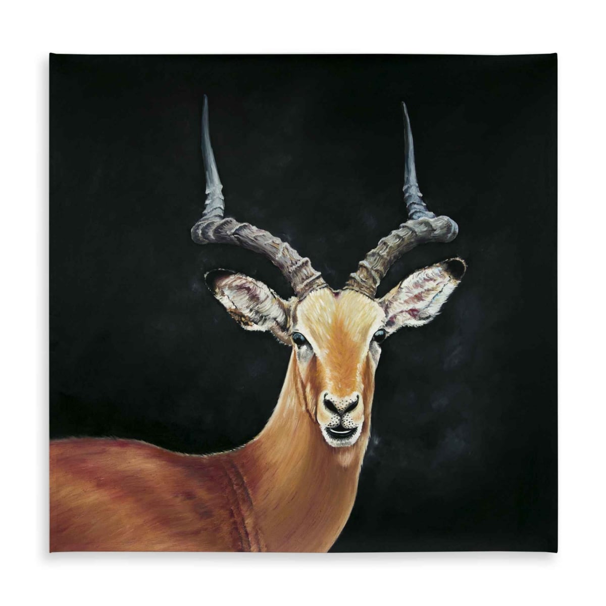 Picture of Begin Home Decor C1TC58581SZ7HO 58 x 58 in. Antelope Rustic Deer Tablecloth - Indoor Outdoor Home Decor
