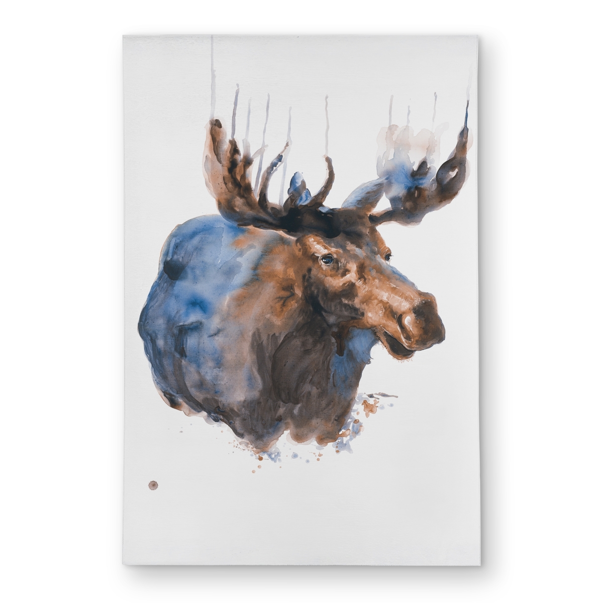 C1ROAR23091FLJ 2 x 3 ft. Abstract Blue Moose - Rustic Outdoor Area Rug for Holidays - Rectangle