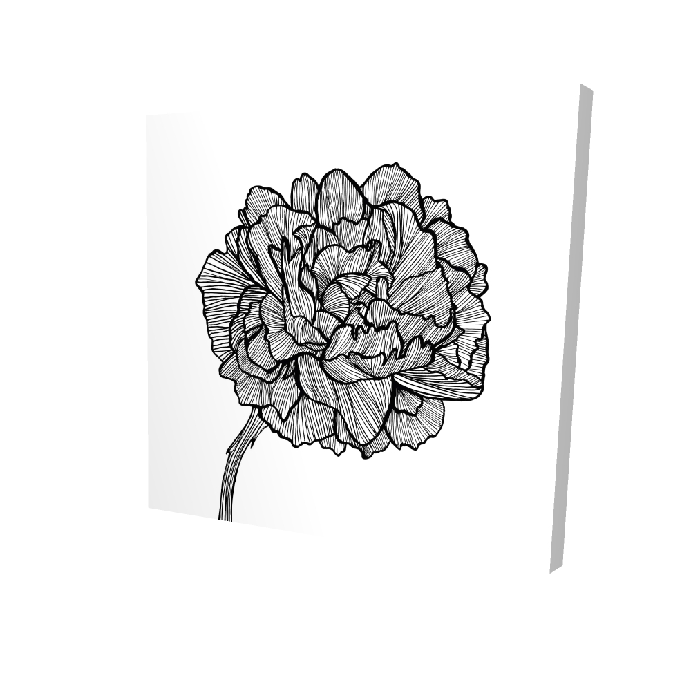 Peony Line Floral Canvas - White - 24 x 24 in. - Minimalist Art