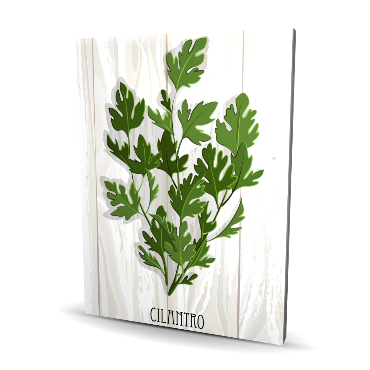 C1RC3648TFSU1F 36 x 48 in. Cilantro on Wood - Gastronomy Canvas for Home Decor