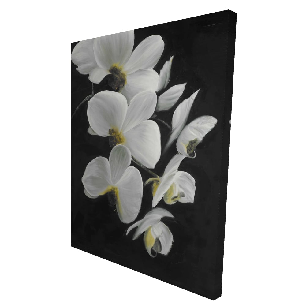2080-4836-FL130 36 x 48 in. Beautiful Orchids - Black Canvas Flower Decor for Home