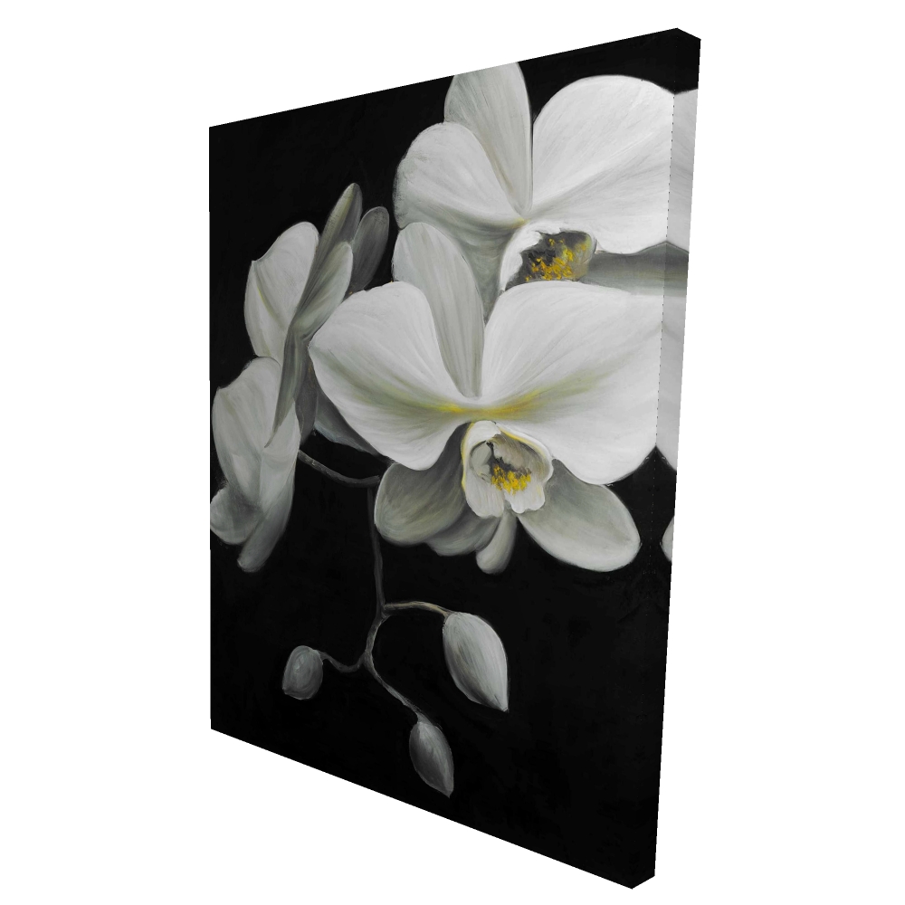 2080-4836-FL131 36 x 48 in. White Orchids Canvas - Floral Home Decor for Botanic Lovers