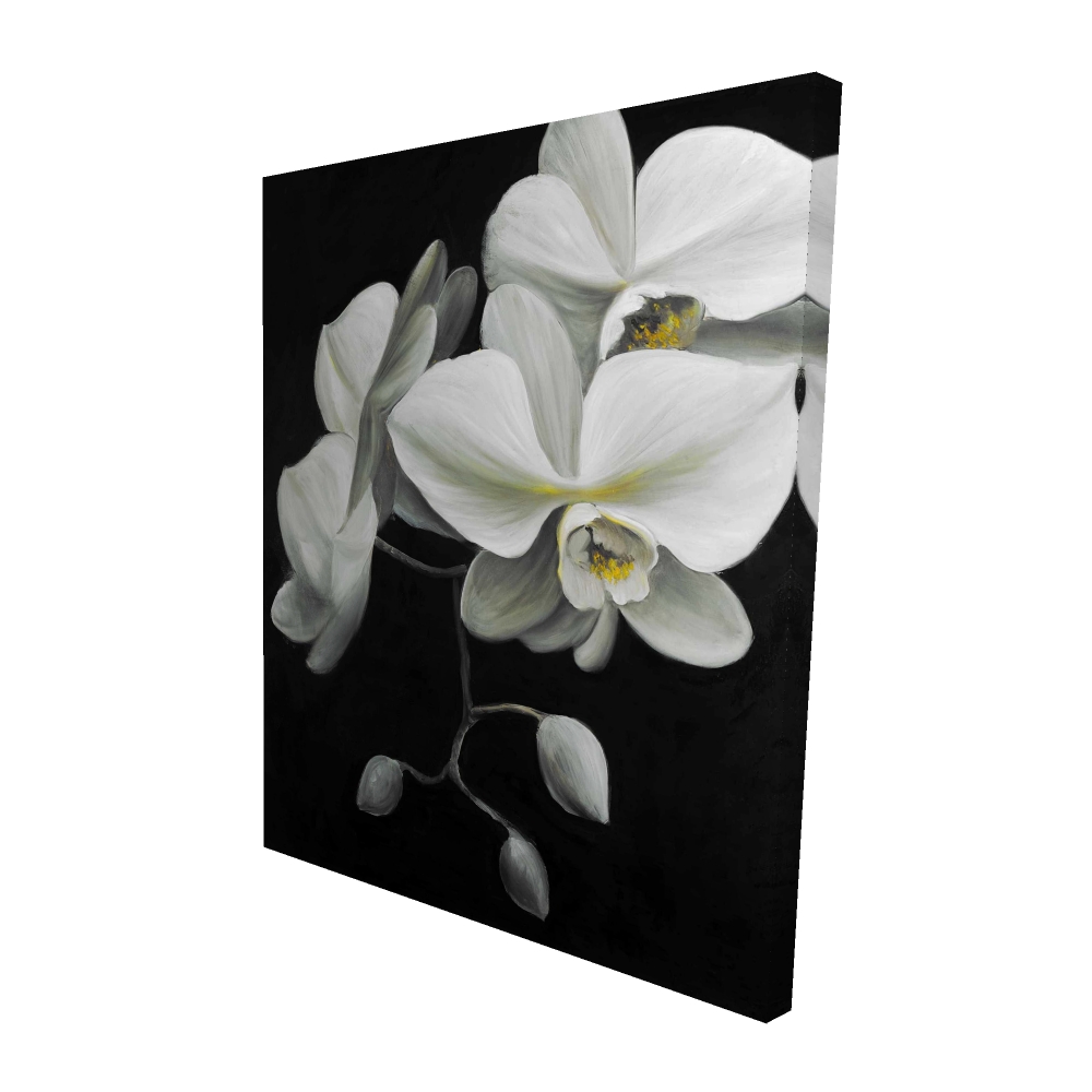 2080-6048-FL131 48 x 60 in. White Orchids - Botanical Canvas Art for Home Decor