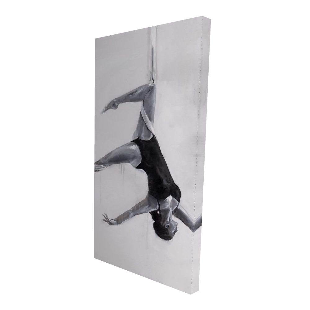 2080-4824-SP34 24 x 48 in. Dancer on Aerial Silks - Hobbies Bathroom Canvas Decor