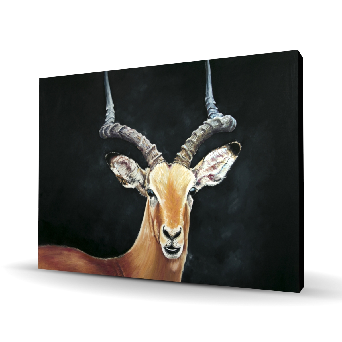 C1RC364851M7RW 36 x 48 in. Antelope - Animals Man Cave Canvas for Home Decor