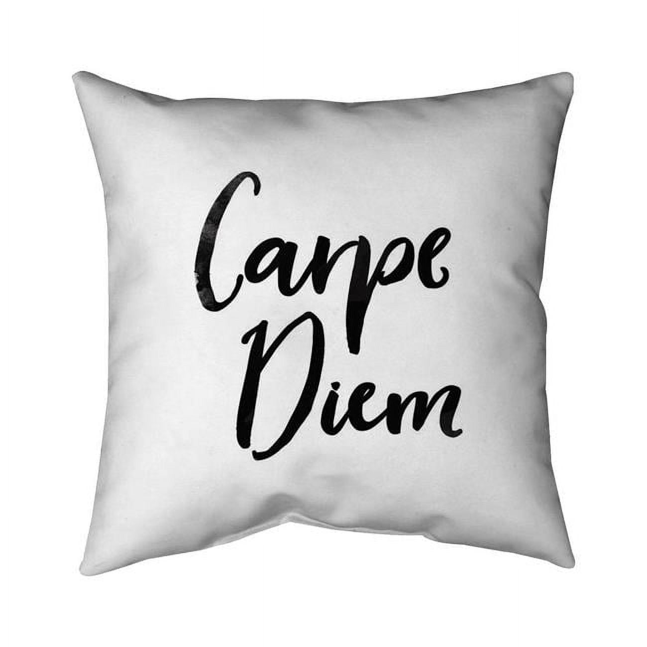 20 x 20 in. Carpe Diem-Double Sided Print Indoor Pillow