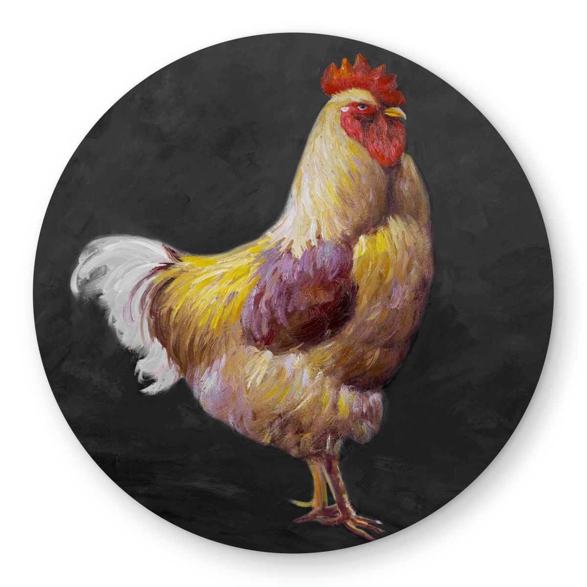 C1COAR55K9EAPY 5 x 5 ft. Beautiful Rooster 2 - Rustic Kitchen Round Outdoor Rug