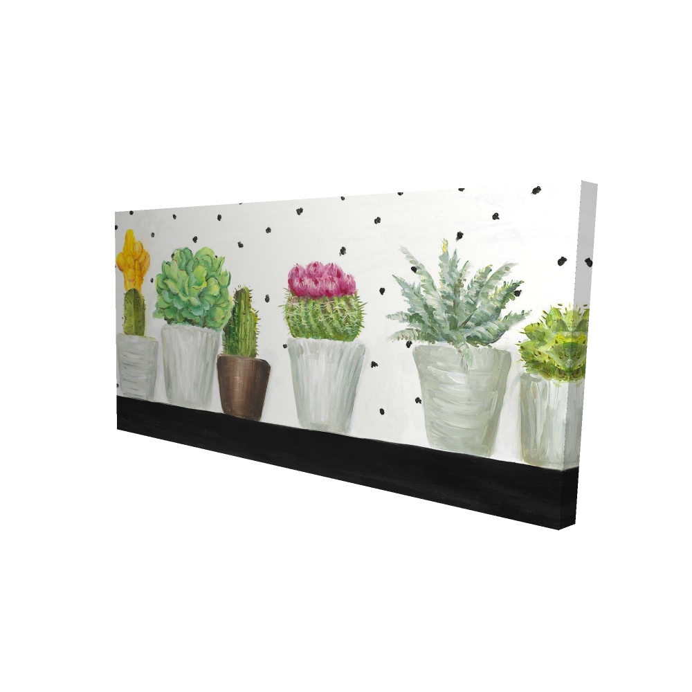 2080-2448-FL114 24 x 48 in. Mini Cactus & Succulents - Botanical Canvas for Home Decor