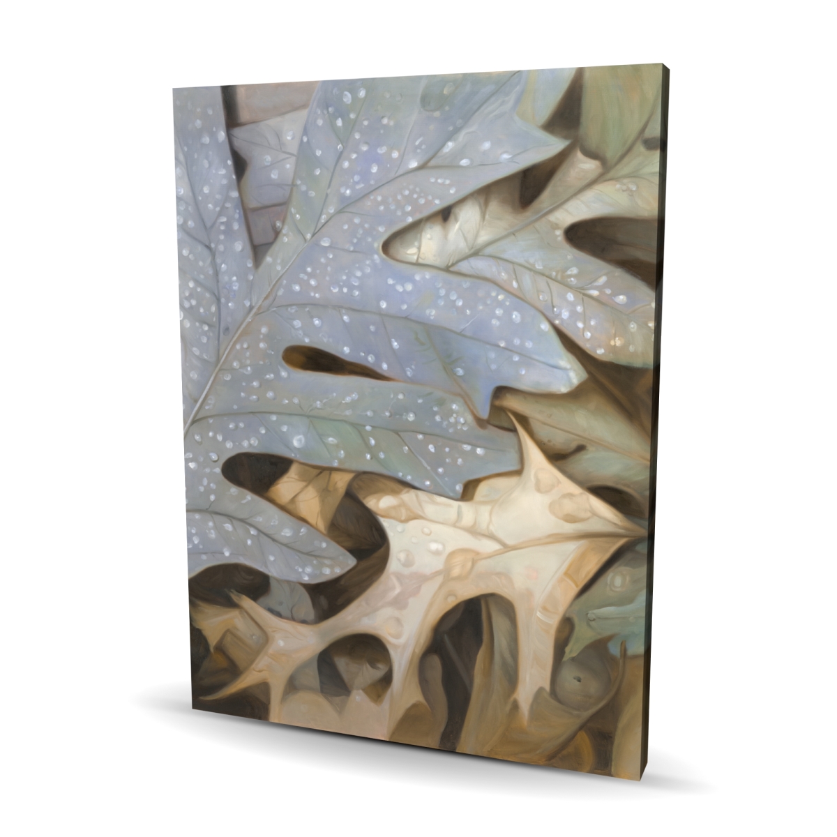 C1RC3648U0QTLW 36 x 48 in. Autumn Leaves - Rustic Trees Canvas for Home Decor