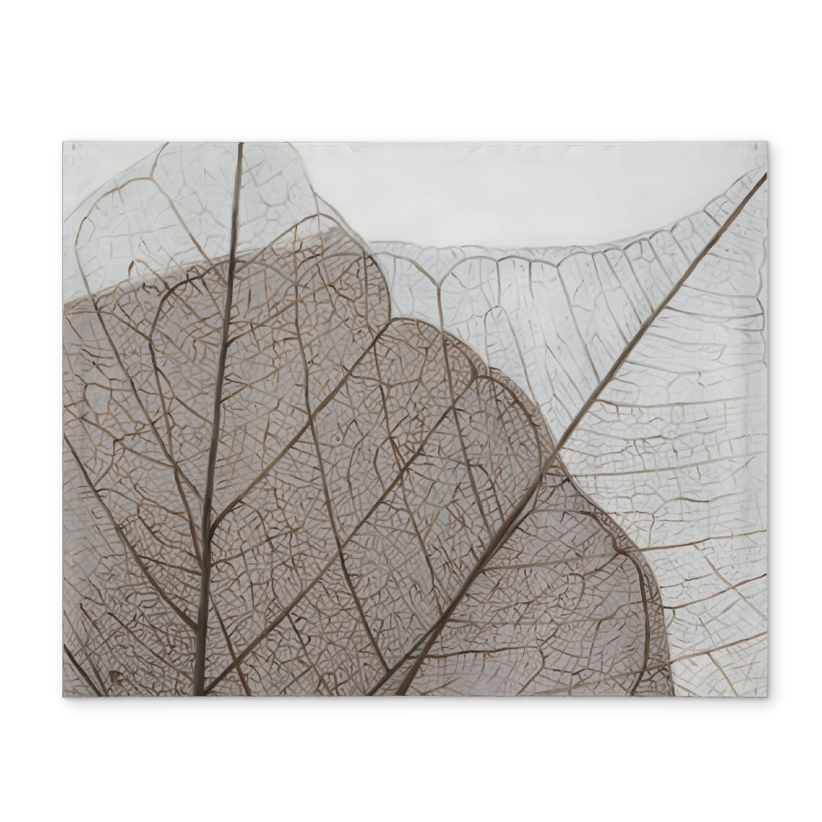 Picture of Begin Home Decor CPPM1418O6QAOP 14 x 18 in. Brown Floral Botanical Rustic Placemat - Translucent Leaves