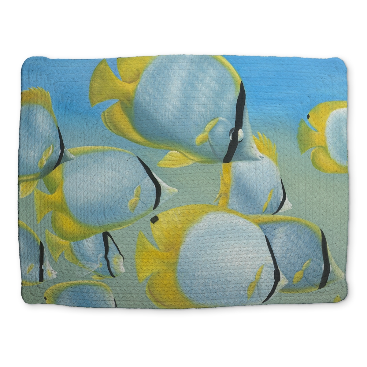 Picture of Begin Home Decor CBPM1418B97NY8 14 x 18 in. Butterfly Fishes Braided Placemat - Exotic Bathroom Decor