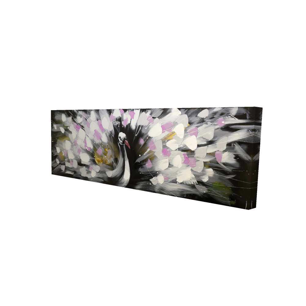 2080-2060-AN13 20 x 60 in. Beautiful Spotted Peacock - Black Exotic Canvas