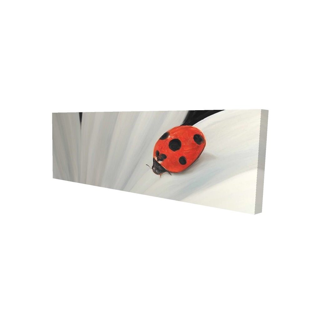 2080-2060-FL175 20 x 60 in. White Daisy & Ladybug - Insect White Canvas Home Decor