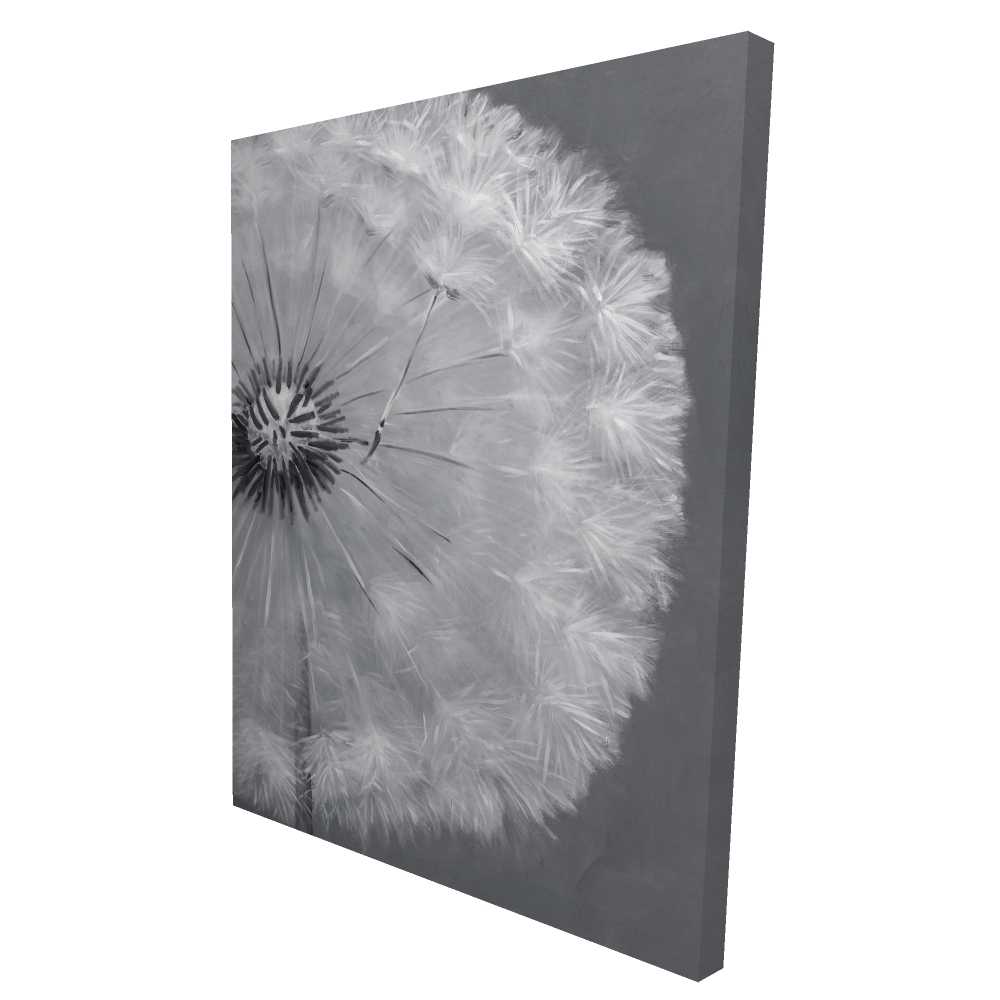 2080-4836-FL127 36 x 48 in. Dandelion Puff Ball - White Hyperrealist Canvas