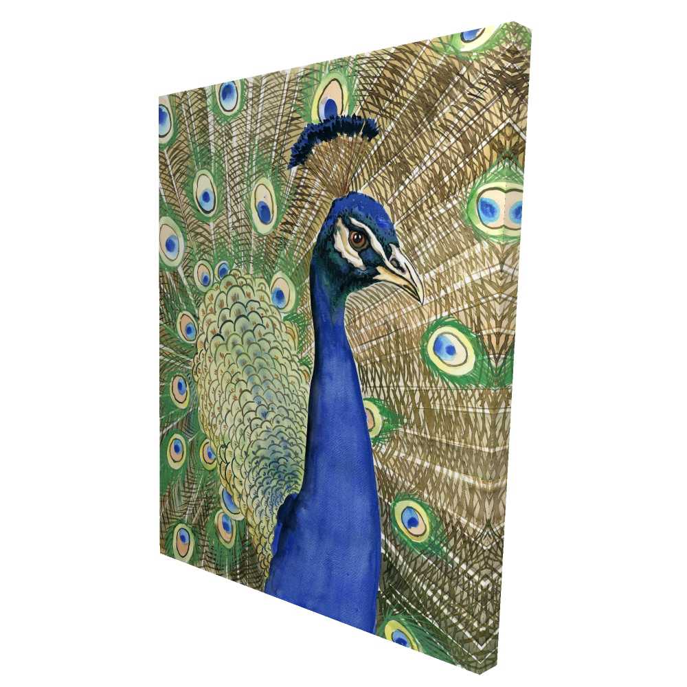 2080-4836-AN505 36 x 48 in. Peacock Exotic Feathers Canvas - Unique Home Decor Art