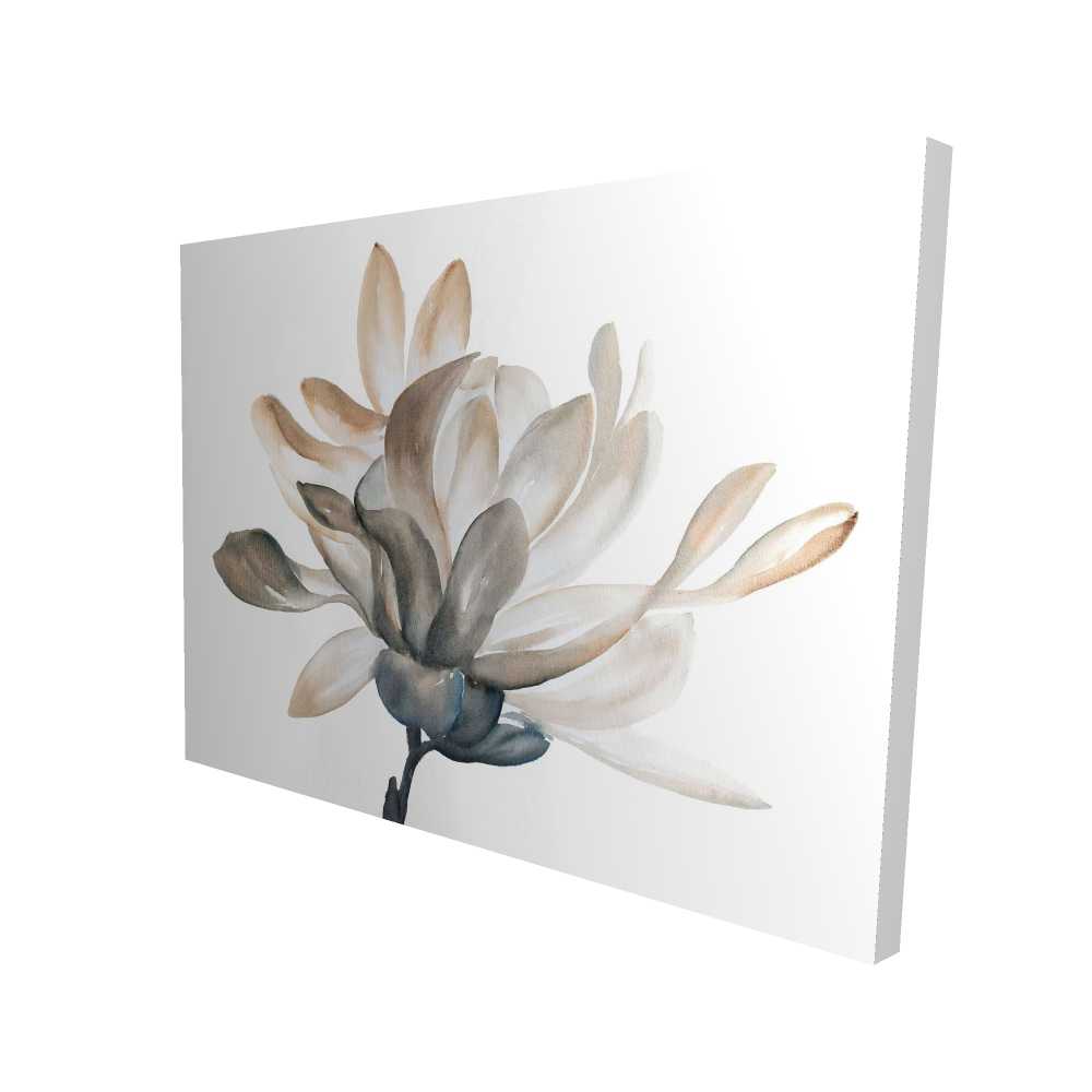 2080-3648-FL279 36 x 48 in. Softness - Floral Botanical Living Room Canvas
