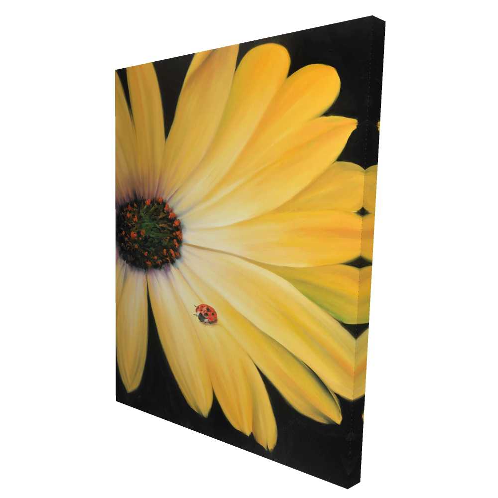 2080-4836-FL176 36 x 48 in. Yellow Daisy & Ladybug - Insect Romantic Canvas Art