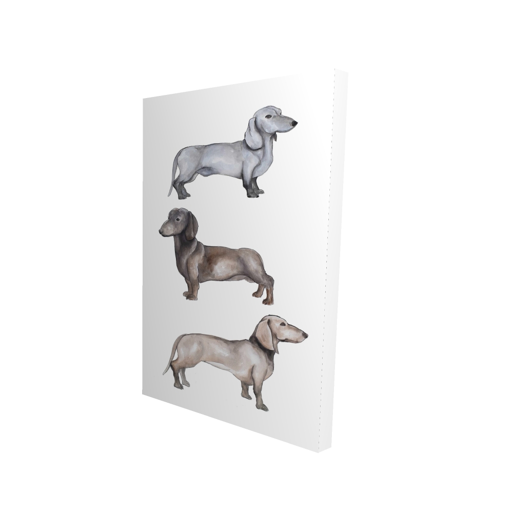 2080-3624-AN408 24 x 36 in. Dachshund Dogs Canvas Art - Unique Home Decor for Dog Lovers