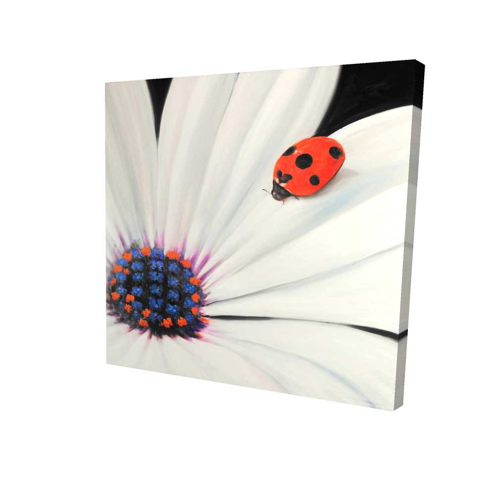 2080-3636-FL175 36 x 36 in. White Daisy & Ladybug Canvas - Romantic Floral Home Decor