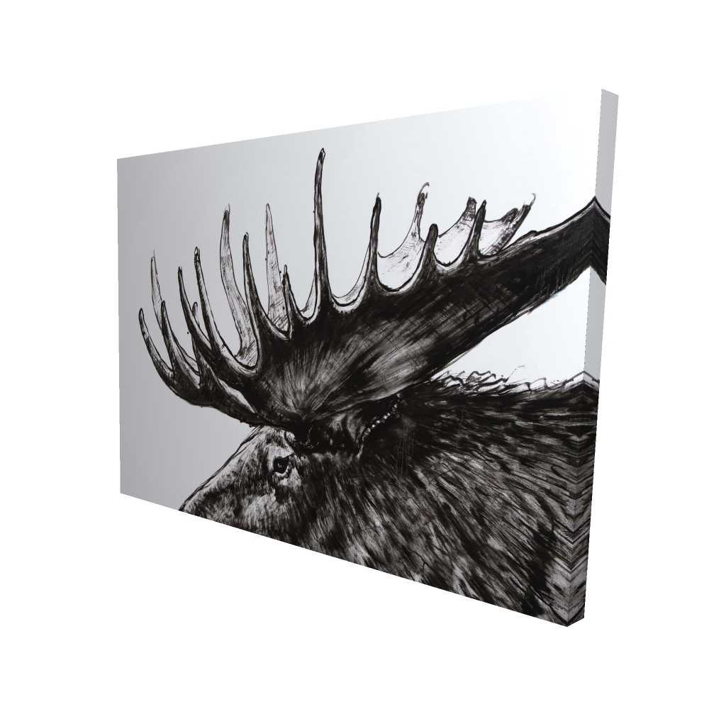 2080-3648-AN473 36 x 48 in. Moose Plume - Rustic White Canvas for Home Decor - Art