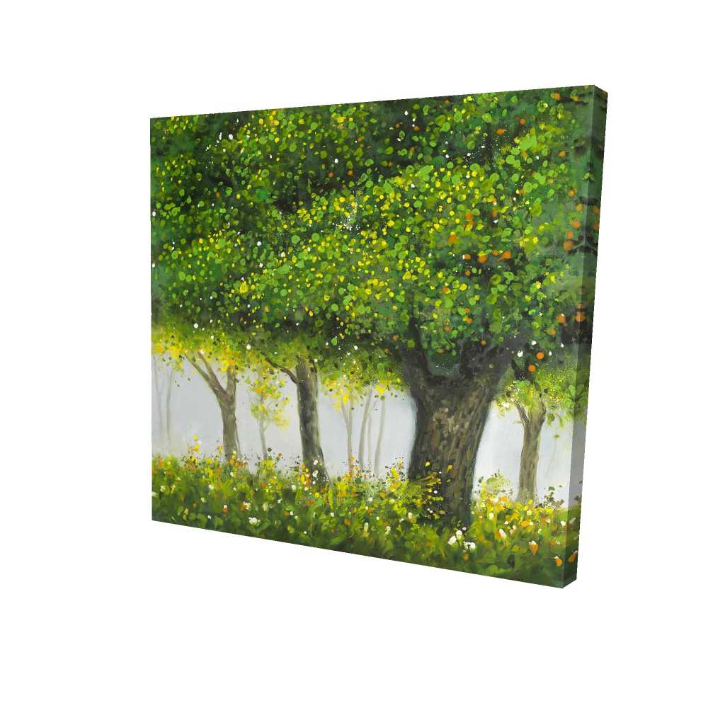 2080-3636-LA85 36 x 36 in. Forest by Summer - Trees Contemporary Canvas for Home Decor
