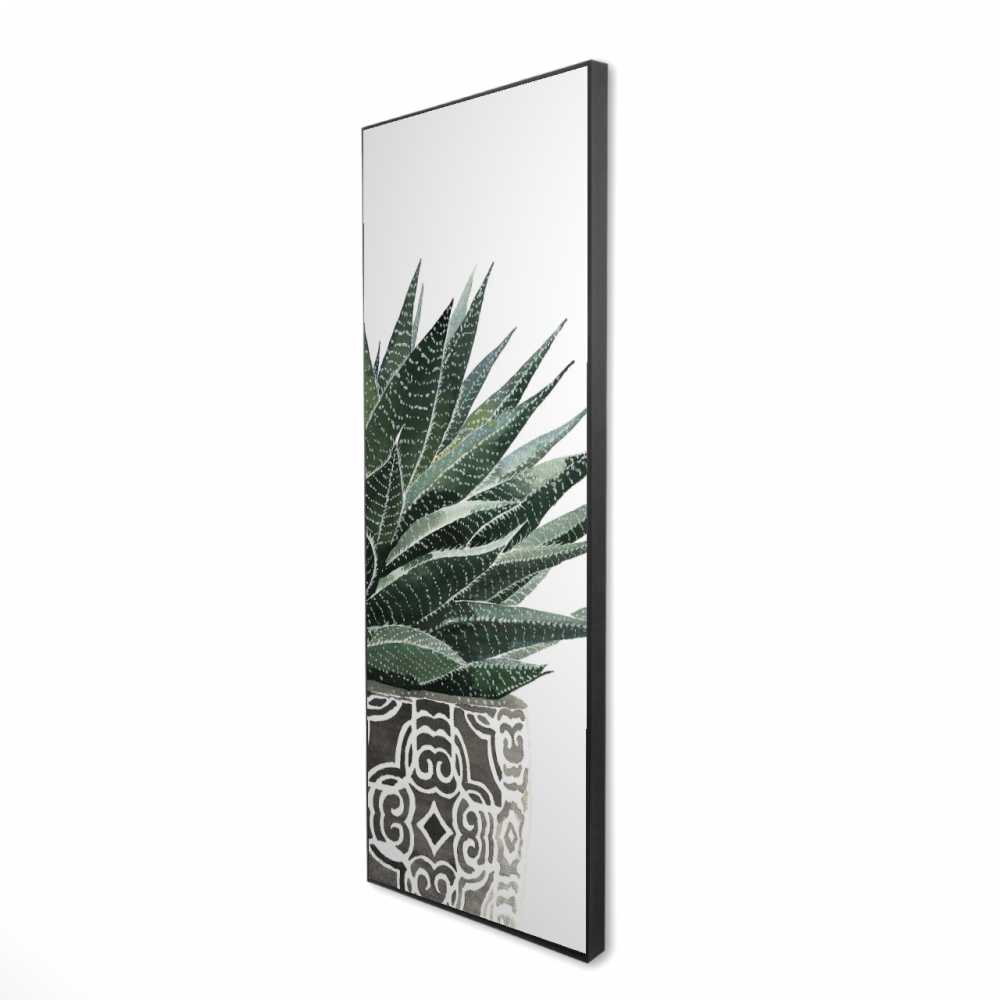 2081-6020-FL339 20 x 60 in. Zebra Plant Succulent Canvas - Kitchen Gray Framed Decor