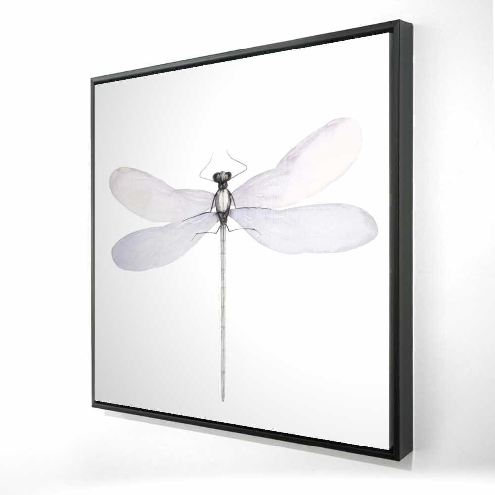 2081-3636-AN459 36 x 36 in. Delicate Dragonfly - Insect Gray Framed Canvas
