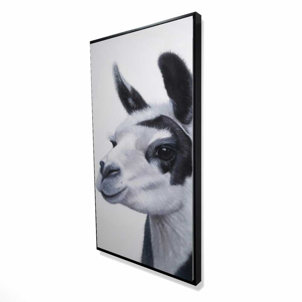 2081-4824-AN471 24 x 48 in. Black & White Lama - Office Gray Framed Canvas Decor
