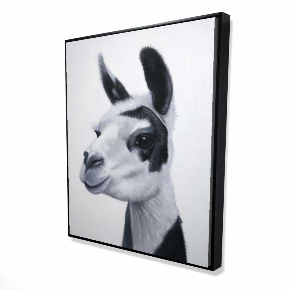 2081-6048-AN471 48 x 60 in. Black & White Lama - Office White Framed Canvas Decor