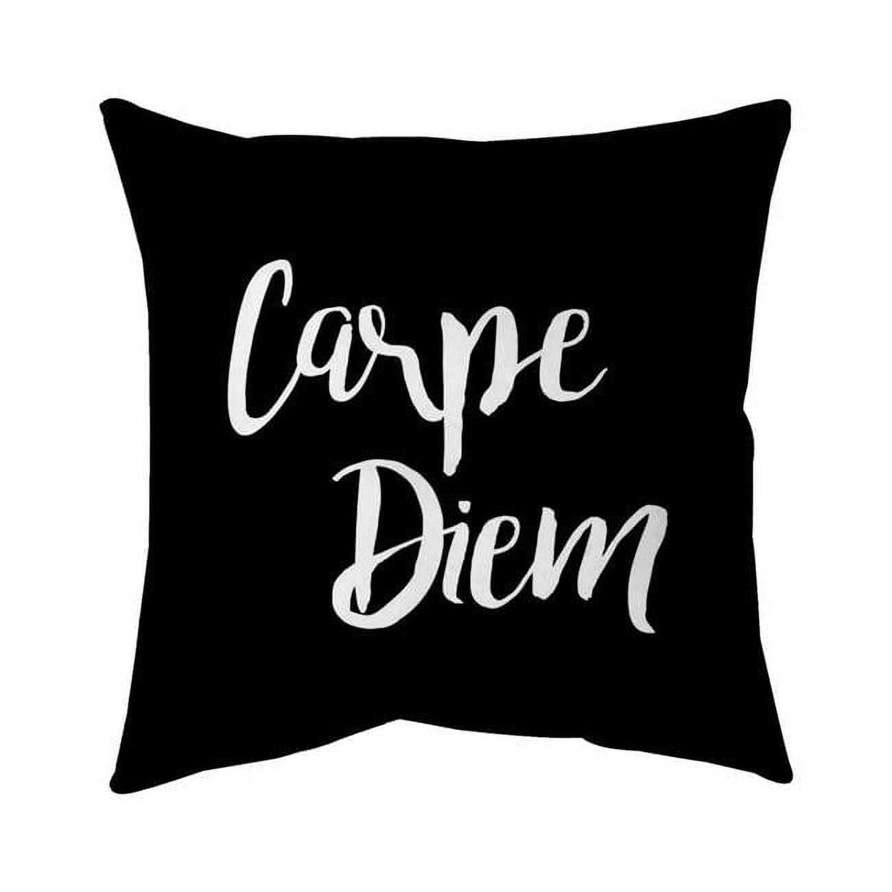18 x 18 in. Carpe Diem 2-Double Sided Print Indoor Pillow