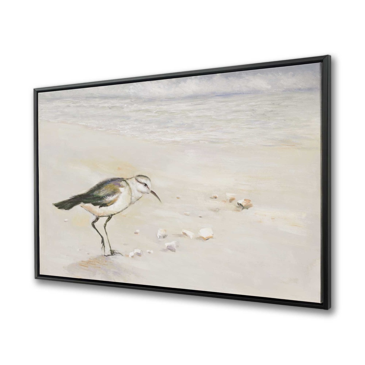 C1FC3648J3LR6D 36 x 48 in. Semipalmated Sandpiper on the Beach - Framed Canvas Art