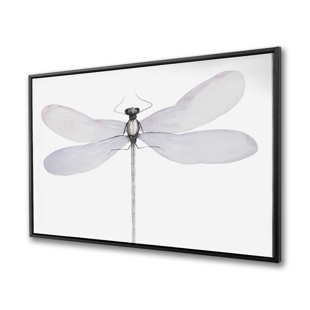 C1FC36482JI05H 36 x 48 in. Delicate Dragonfly - Minimalist Insect Framed Canvas Art