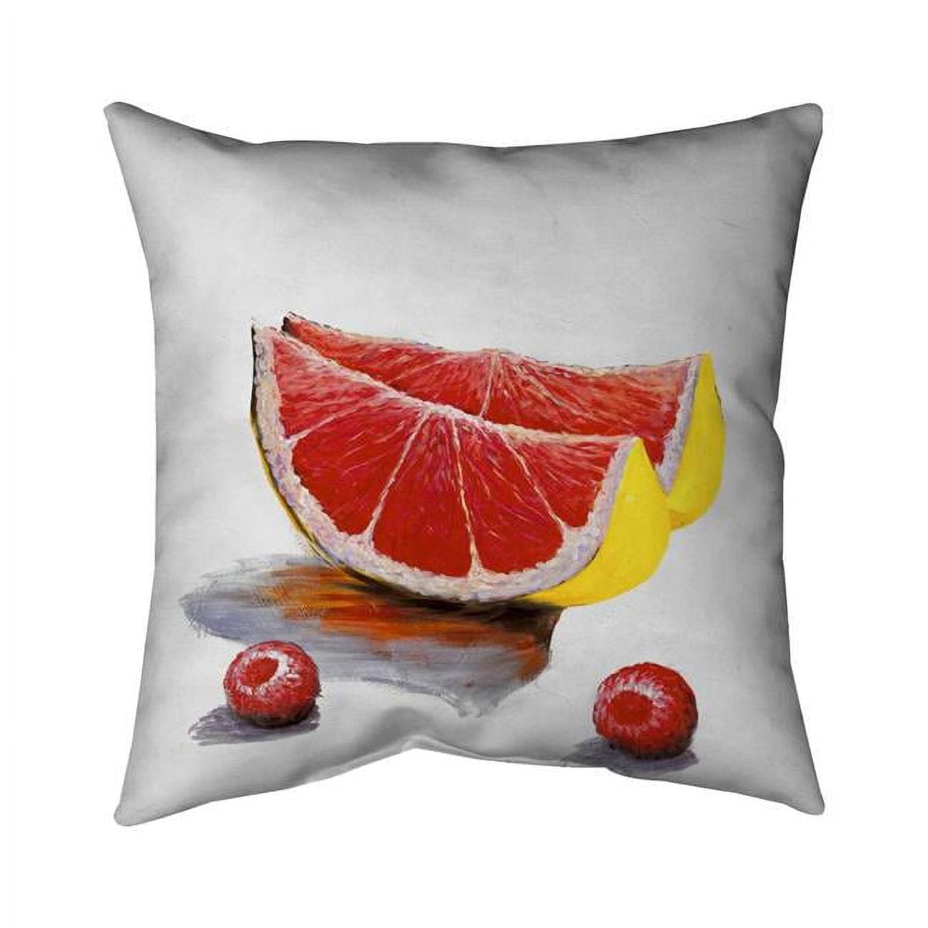 20 x 20 in. Grapefruit Slices-Double Sided Print Indoor Pillow