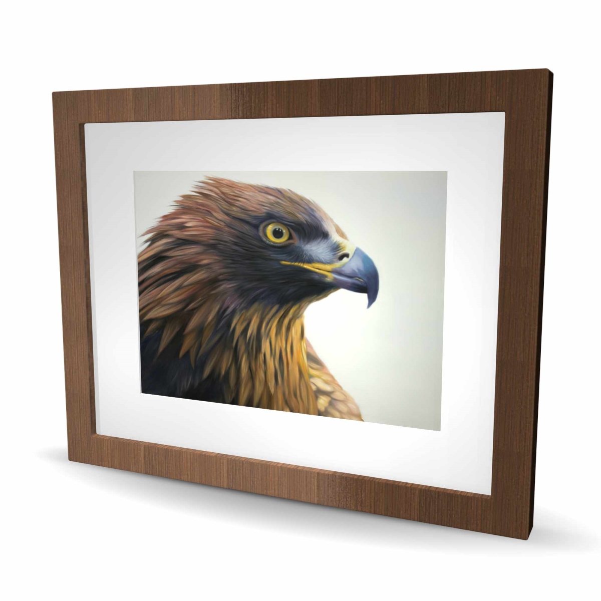 C1FM1620ID7WU6 16 x 20 in. Brown-Headed Eagle Framed Matted Print Wall Art - Home Decor Art