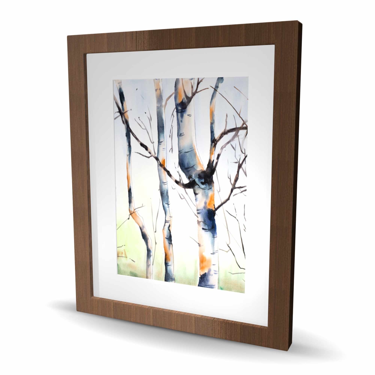 C1FM16208X7W0H Three Small Birch Trees - Framed Matted Print Wall Art for Home Decor - 16 x 20 in.
