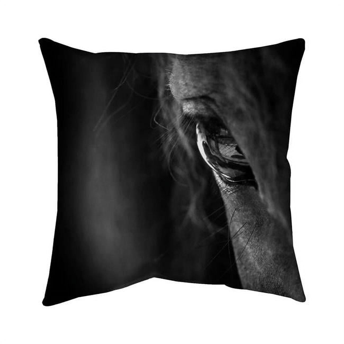 20 x 20 in. Black Horse-Double Sided Print Indoor Pillow