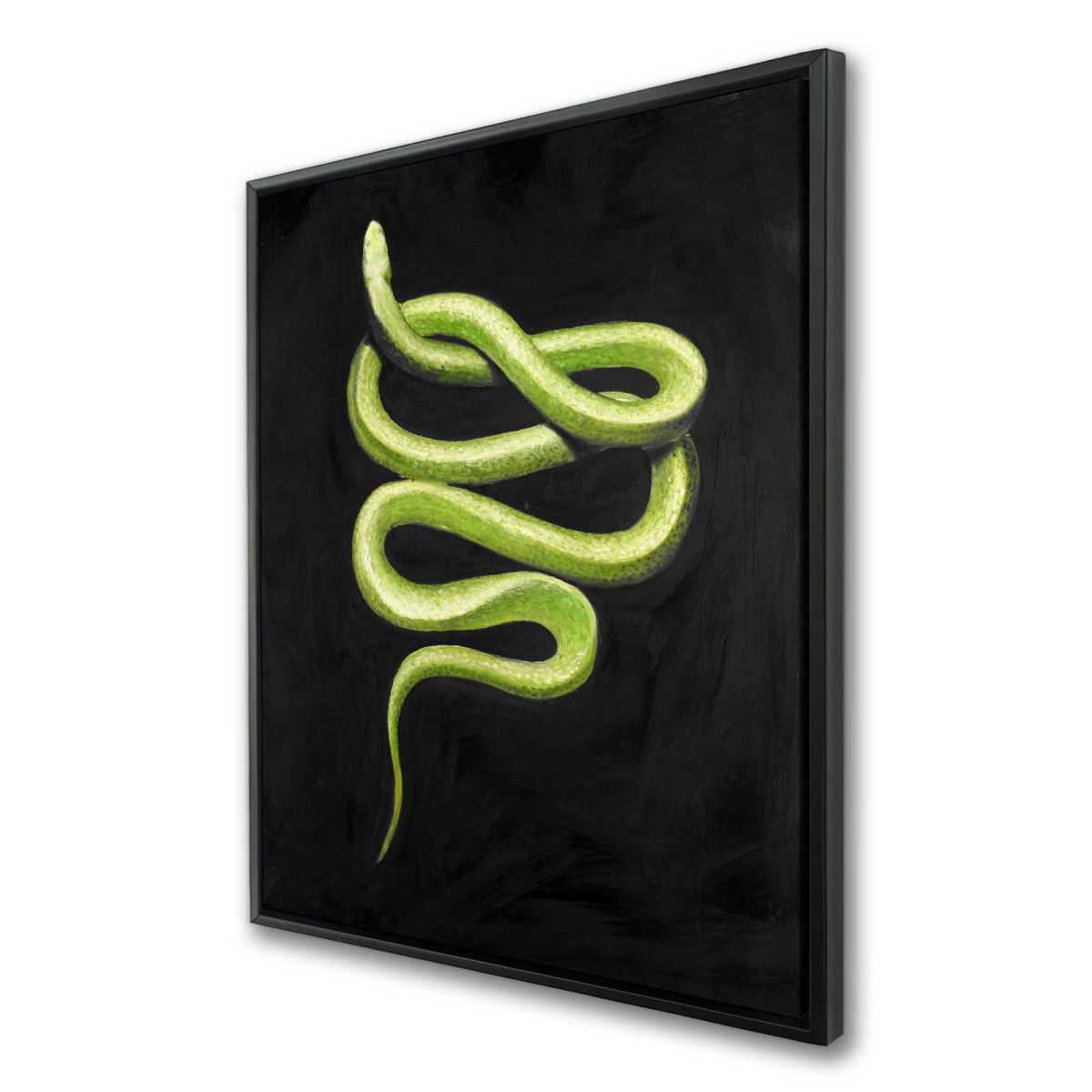 C1FC3648SSSIN5 36 x 48 in. Green Snake - Contemporary Animals Framed Canvas Home Decor