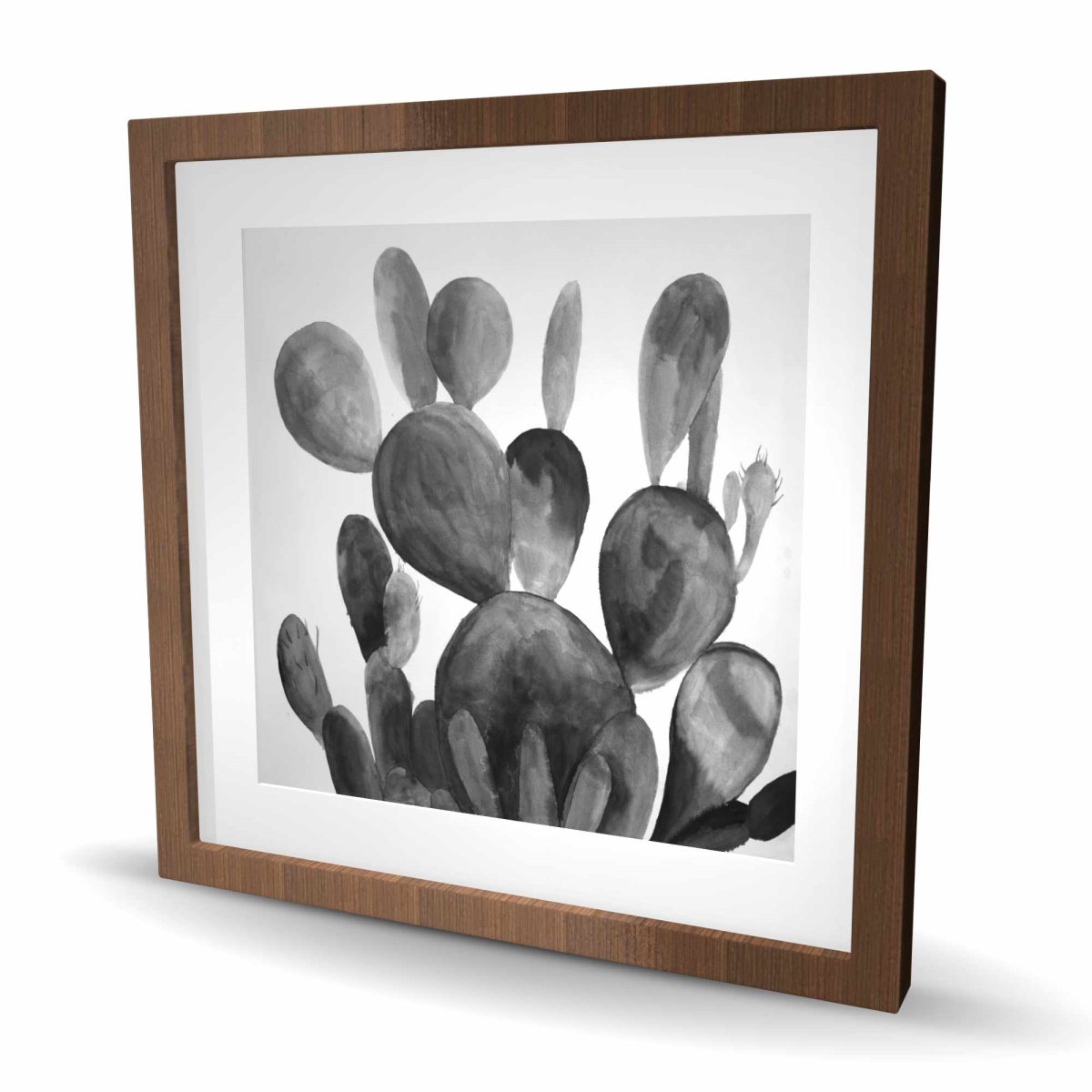 C1FM2424FCAOWS 24 x 24 in. Grayscale Paddle Cactus Plant Wall Art - Framed Botanical Print Decor