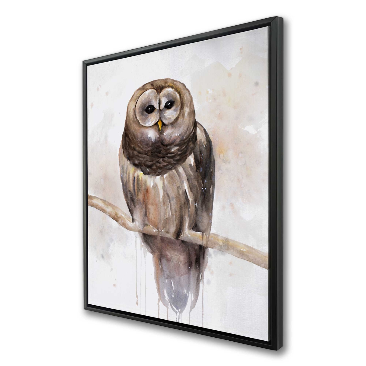 C1FC3648E57ZPF 36 x 48 in. Barred Owl - Beige Rustic Framed Canvas for Home Decor