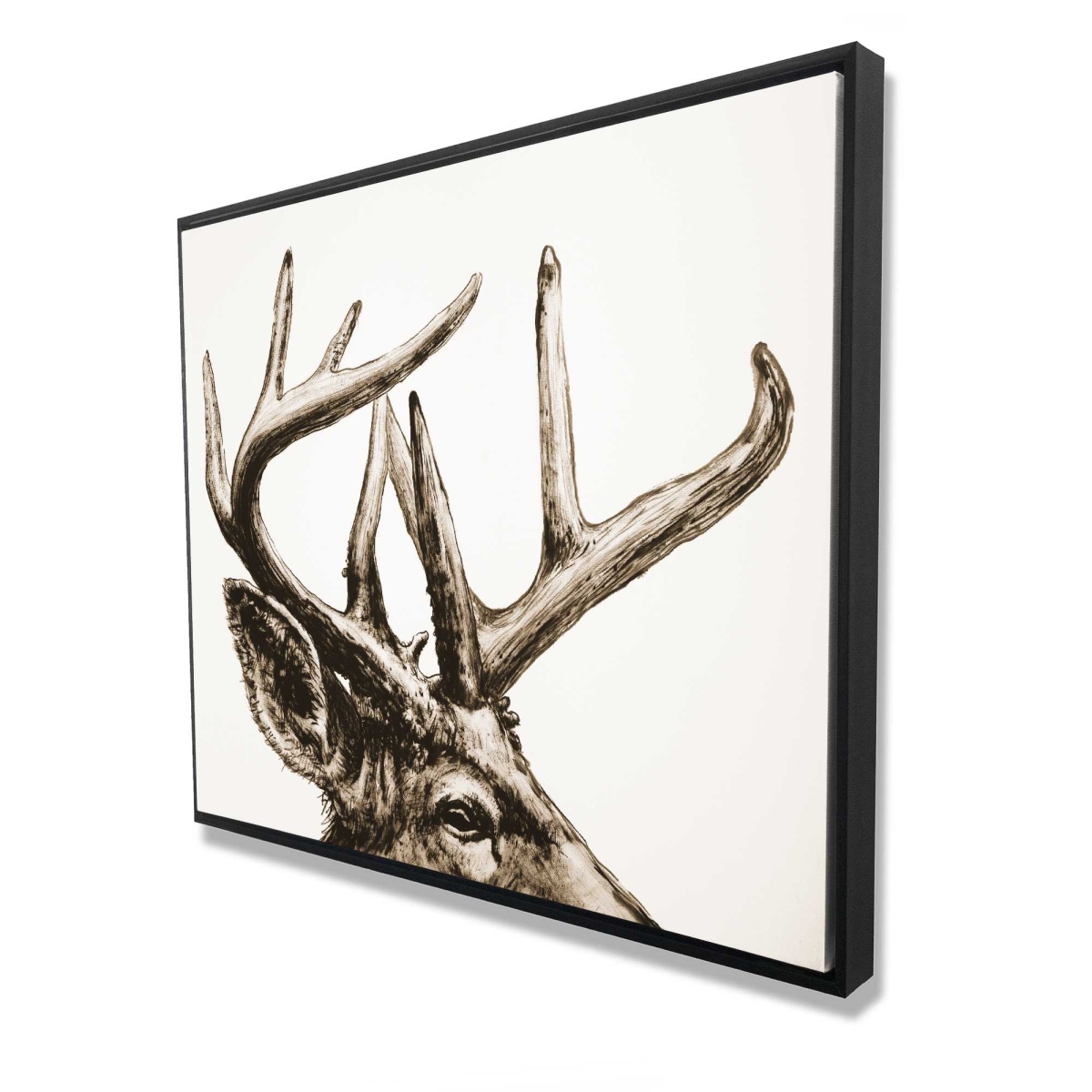 C1FC4860Q8ERMX 48 x 60 in. Roe Deer Plume Sepia - Framed Canvas Decor - Animals Art