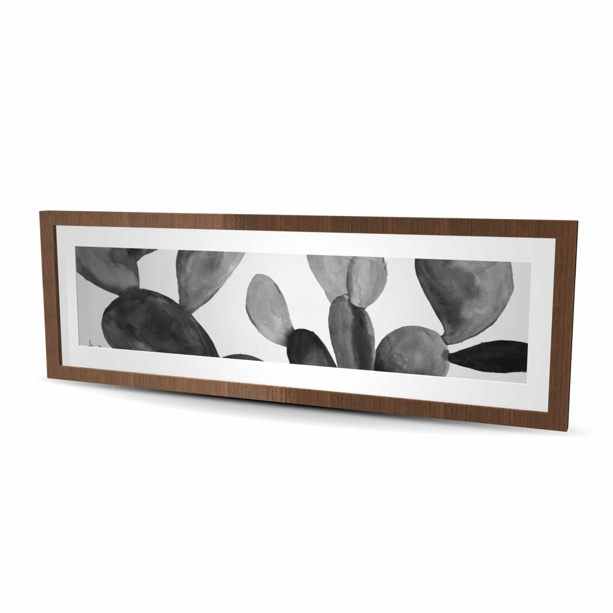 C1FM164893JSXM Grayscale Cactus - Black Framed Matted Print Wall Art for Home Decor - 16 x 48 in.