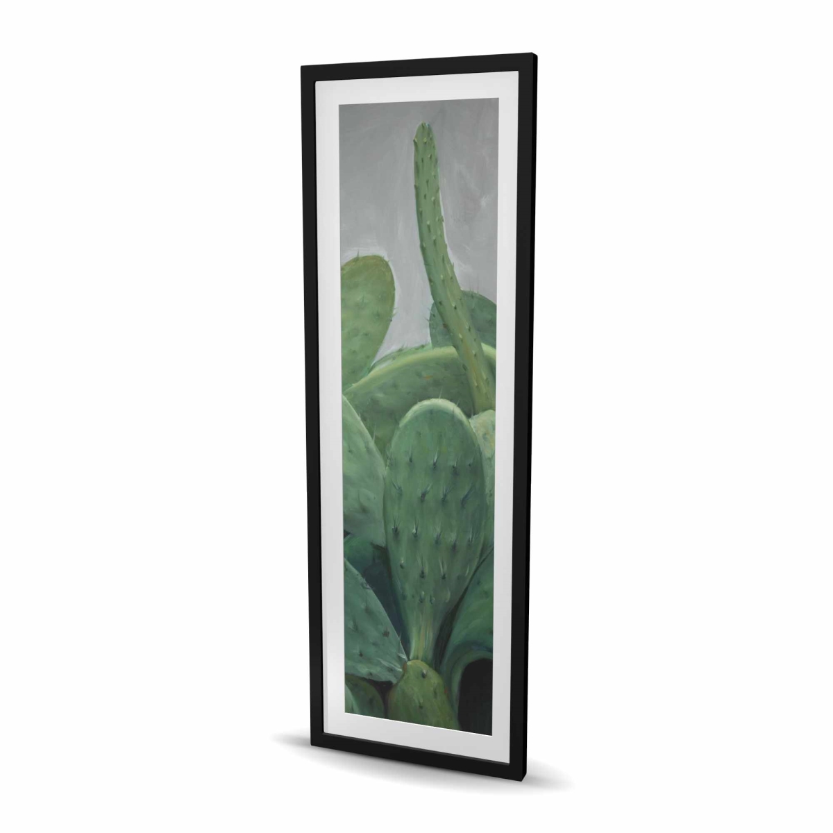 C1FM20609VVP5C 20 x 60 in. Cactus Bundle - Exotic Framed Matted Print Wall Art for Home Decor