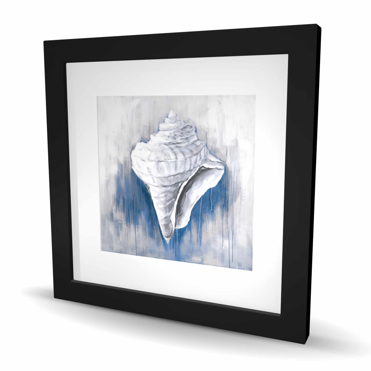 C1FM1616Q3FH8G 16 x 16 in. Blue Conical Shell - Framed Matted Print Wall Art - Home Decor Art
