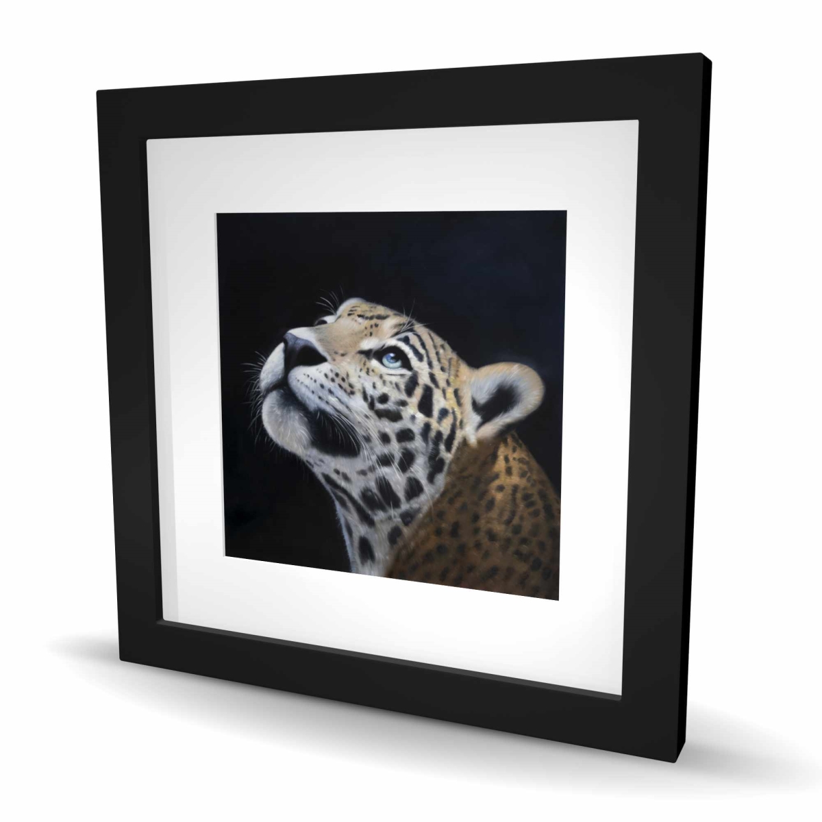 C1FM1616P10VQD 16 x 16 in. Realistic Leopard Face - White Animals Framed Matted Print Wall Art
