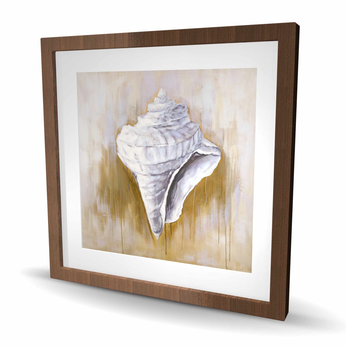 C1FM24246Z4P7L 24 x 24 in. Conical Shell - Still Life Beige Framed Print Wall Art for Home Decor