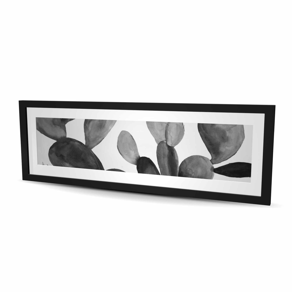 C1FM1648892X2X Grayscale Cactus - Black Framed Matted Print Wall Art for Home Decor, 16 x 48 in.